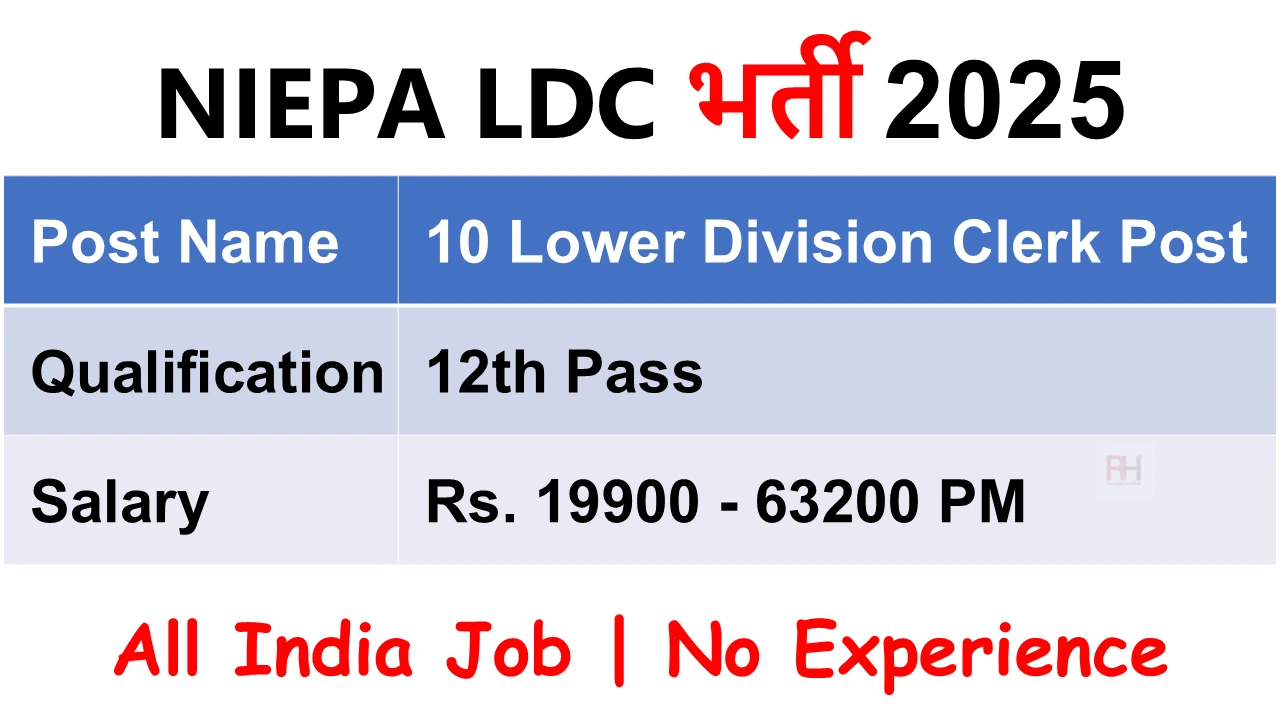 NIEPA LDC Recruitment 2025